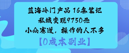 蓝海冷门产品：16条笔记私域变现9750米小众赛道，操作的人不多-鸿雁学习网