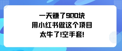 一天挣了9张用小红书做这个项目太牛了，空手套-鸿雁学习网