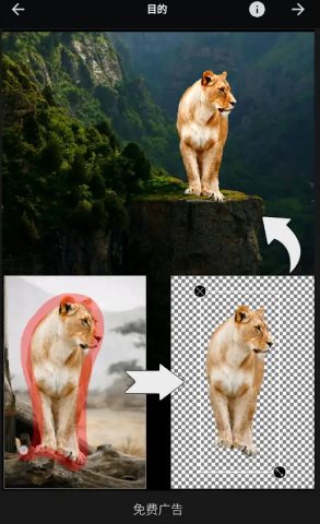 Picsart美易 v29.2.2高级版-鸿雁学习网