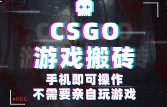 CSGO游戏挂G捡漏，单日扫货5张+，年底小高峰上车可吃肉，手机即可操作，兼职副业创业网创【揭秘】-鸿雁学习网