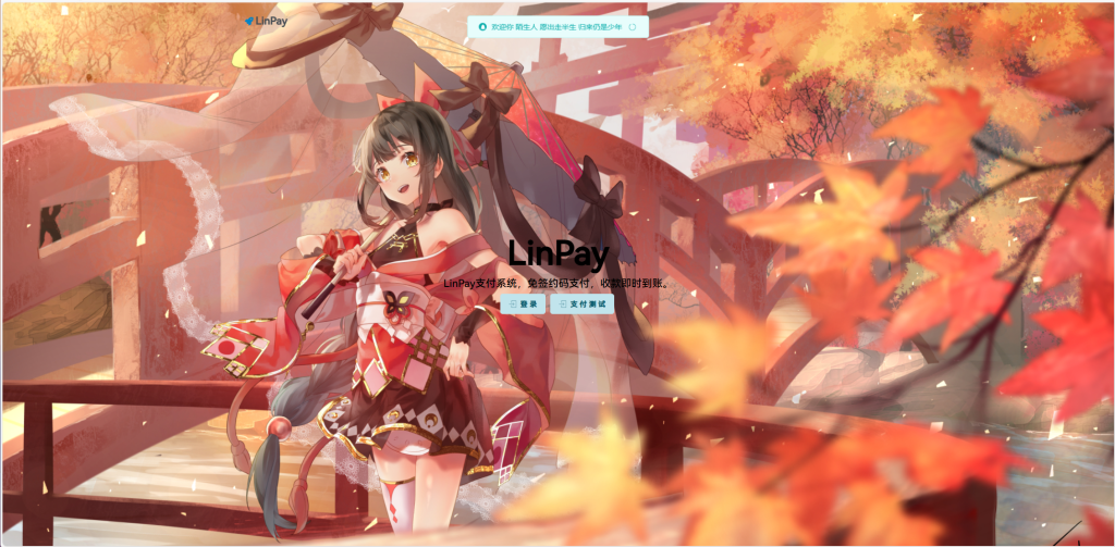 2024首发最新LinPay码支付免授权版,LinPay码支付官网,码支付,源支付-鸿雁学习网