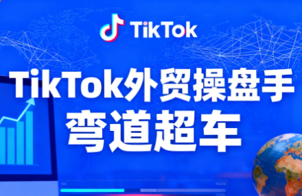 TikTok外贸操盘手(更新11月)-鸿雁学习网