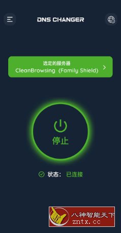 DNS Changer Pro DNS服务器v2.8.1高级版-鸿雁学习网