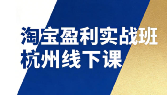 淘宝盈利实战班杭州线下课12月26-28日(音频+字幕)，帮你掌握SOP流程+12门核心技术-鸿雁学习网