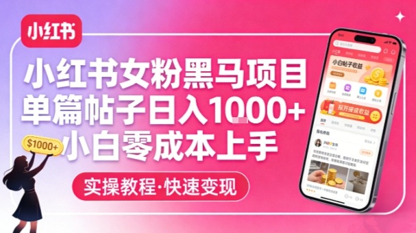 小红书女粉黑马项目，单篇帖子日入1k+，小白零成本上手-鸿雁学习网