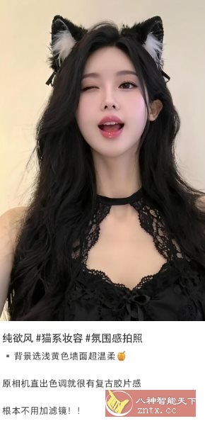 小红书v9.0.2纯净版-鸿雁学习网