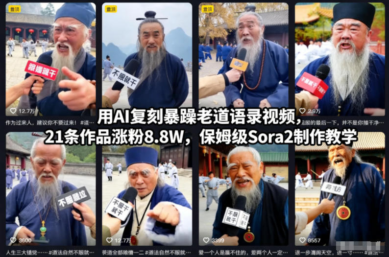 用AI复刻暴躁老道语录视频,21条作品涨粉8.8W,保姆级Sora2制作教学-鸿雁学习网