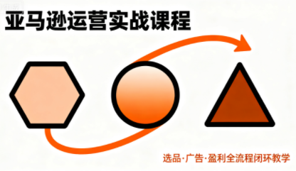 毕方电商·亚马逊全站会员课程(更新3月)-鸿雁学习网