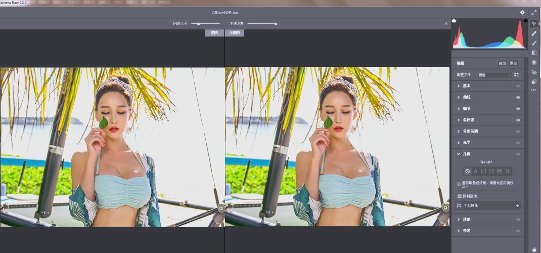 RAW处理Adobe Camera Raw v18.2.0中文版-鸿雁学习网