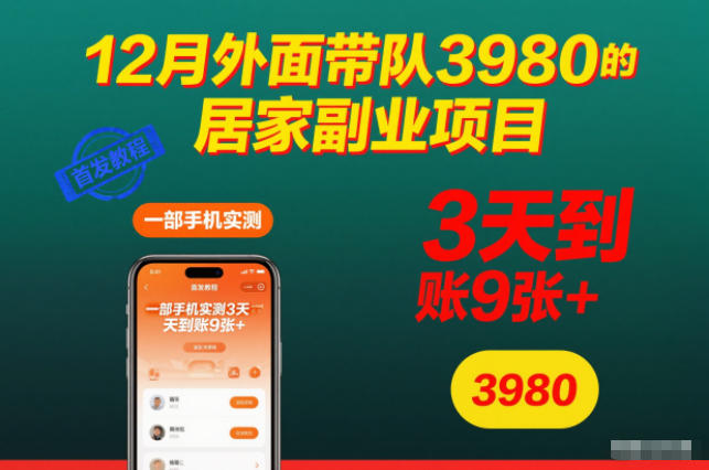12月外面带队3980的居家副业项目，一部手机实测3天到账9张+，首发教程【揭秘】-鸿雁学习网