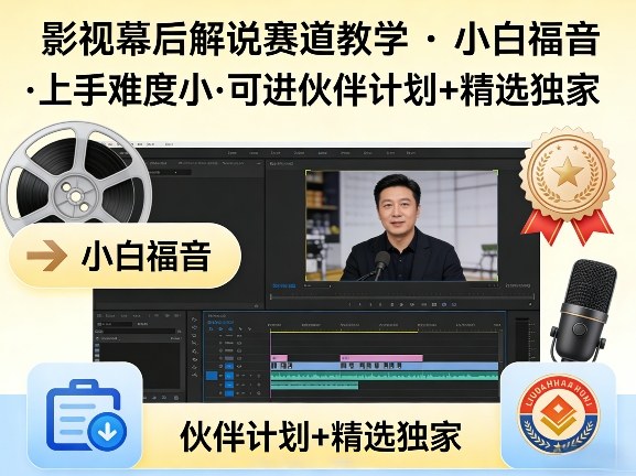 某大佬的影视幕后解说赛道教学，小白福音，上手难度小，可进伙伴计划+精选独家-鸿雁学习网