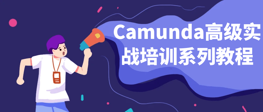 Camunda高级实战培训系列教程-鸿雁学习网