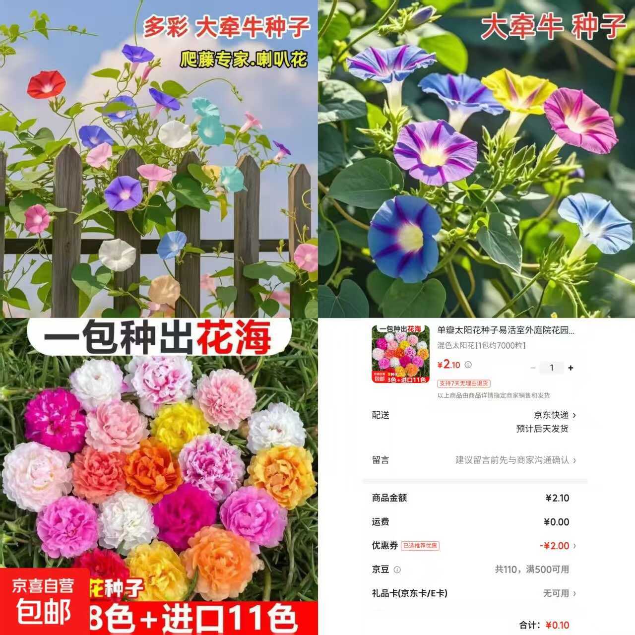 京东0.1太阳花种子约7000粒-鸿雁学习网