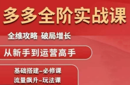 大炮·拼多多全阶实战课程(更新2026)-鸿雁学习网