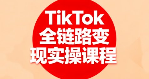 小杨老师·TikTok全链路变现实操课程-鸿雁学习网
