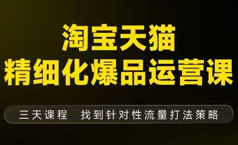 猫课子幽·淘宝天猫精细化爆品运营【音频+字幕+文档】(9月12-14杭州线下课)-鸿雁学习网