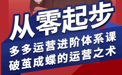 拼多多运营进阶系统课，从零起步，多多运营进阶体系课，破茧成蝶的运营之术(更新9月)-鸿雁学习网