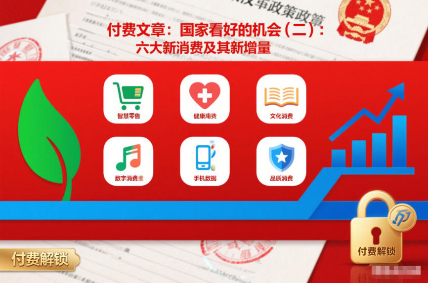 付费文章：国家看好的机会(二)：六大新消费及其新增量-鸿雁学习网