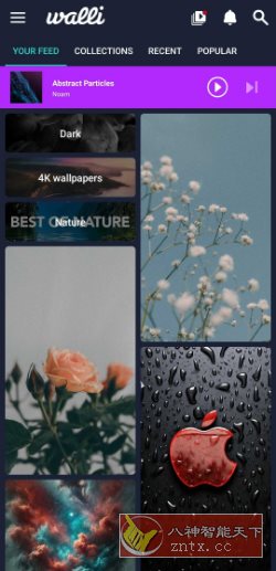 Walli Pro 4K壁纸 2.12.89高级版-鸿雁学习网