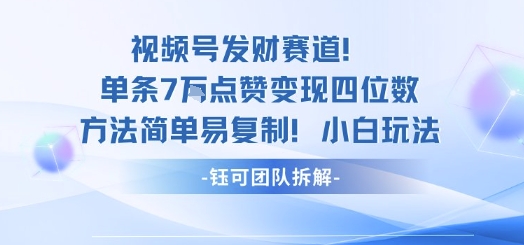 视频号发财赛道单条7W点赞变现四位数方法简单易复制小白玩法-鸿雁学习网