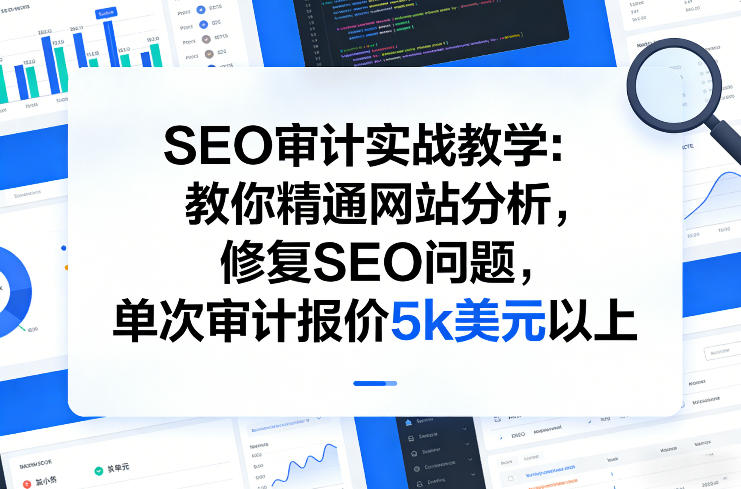 SEO审计实战教学：教你精通网站分析，修复SEO问题，单次审计报价5k美元以上-鸿雁学习网