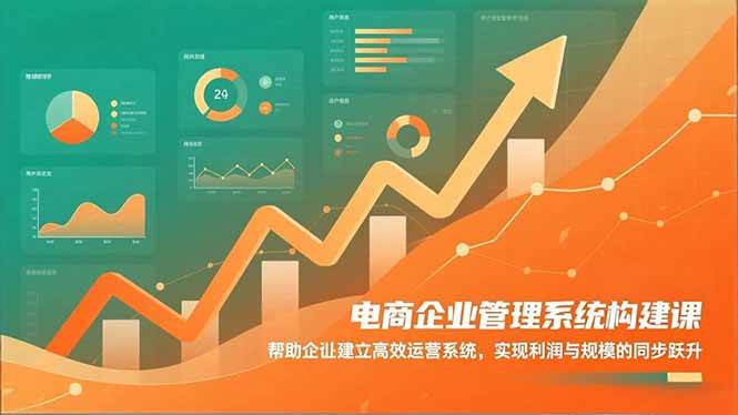 （16643期）电商企业管理系统构建课：帮助企业建立高效运营系统，实现利润与规模的同步跃升-鸿雁学习网