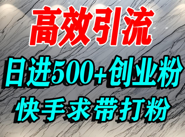 怎么打创业粉？快手求带视角精准引流创业粉，宝妈、学生群体日进500+精准流量-鸿雁学习网