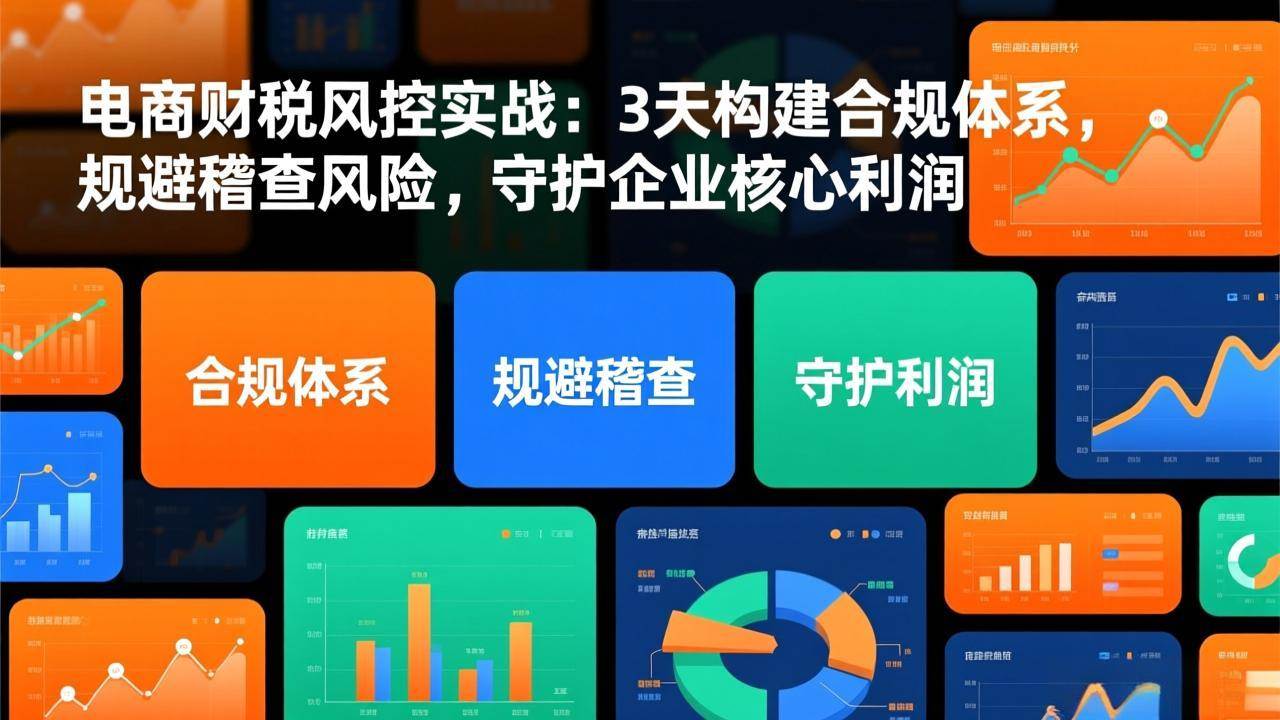 （17197期）电商财税风控实战：3天构建合规体系，规避稽查风险，守护企业核心利润-鸿雁学习网
