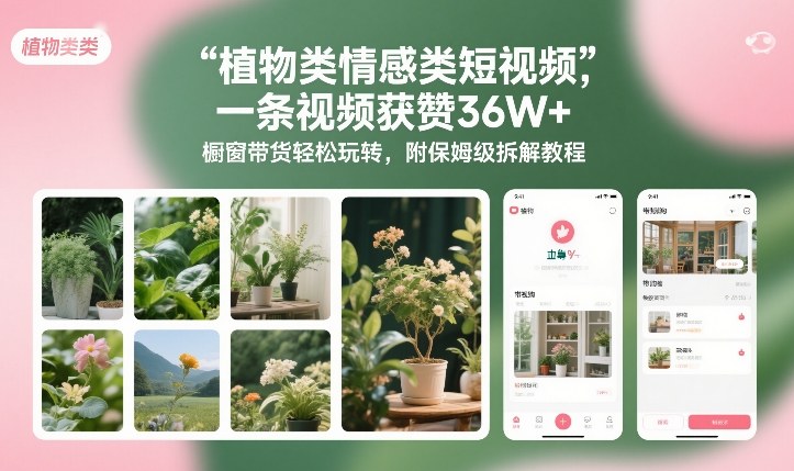 植物类情感类短视频，一条视频获赞36W+，橱窗带货轻松玩转，附保姆级拆解教程-鸿雁学习网