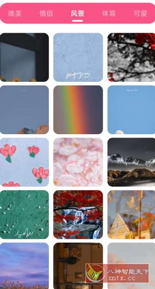 皮皮壁纸 v1.3纯净版-鸿雁学习网