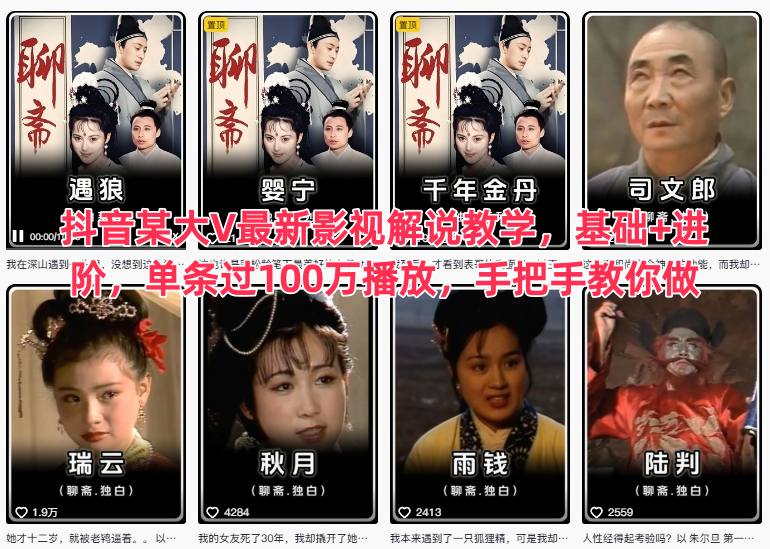 抖音某大V最新影视解说教学，基础+进阶，单条过100万播放，手把手教你做-鸿雁学习网