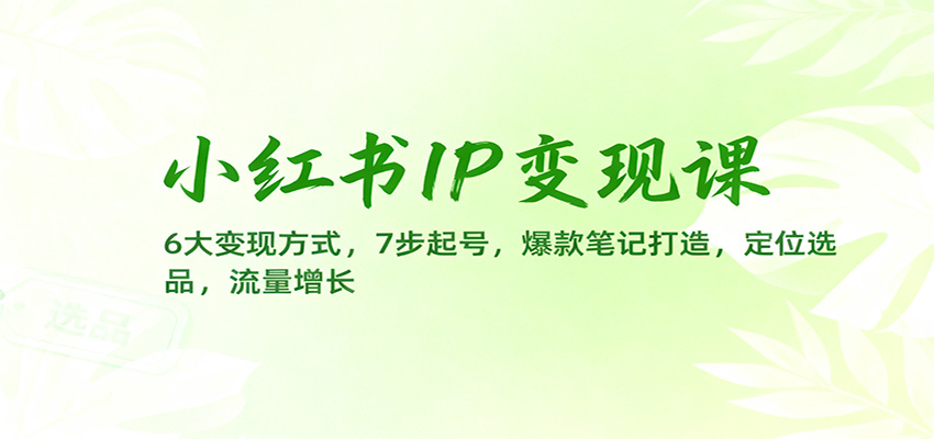 小红书IP变现课：6大变现方式，7步起号，爆款笔记打造，定位选品，流量增长-鸿雁学习网