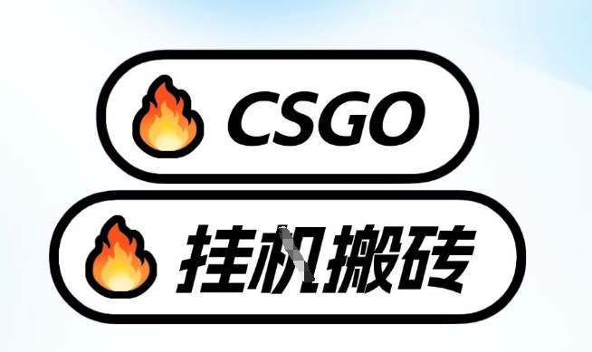 真全网独家CSGO挂G，最新玩法,单日捡漏1K+，不用电脑，不用打游戏【揭秘】-鸿雁学习网