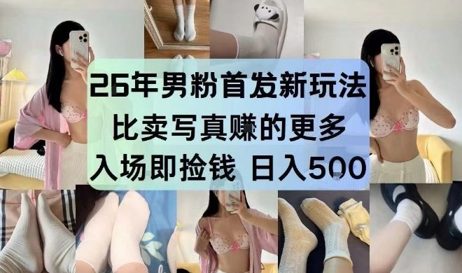 26年男粉首发最新3.0玩法，独此一家，比卖写真賺的更多，入场即捡钱，日入5张【揭秘】-鸿雁学习网