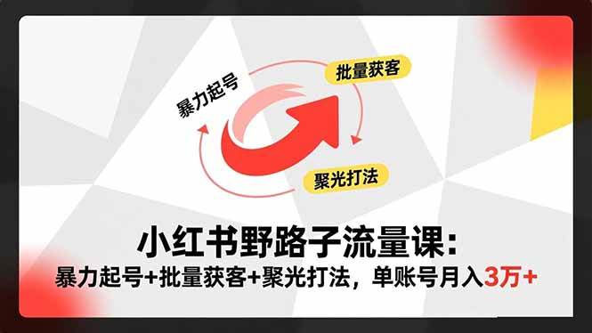 （16513期）小红书野路子流量课：暴力起号+批量获客+聚光打法，单账号月入3万+-鸿雁学习网