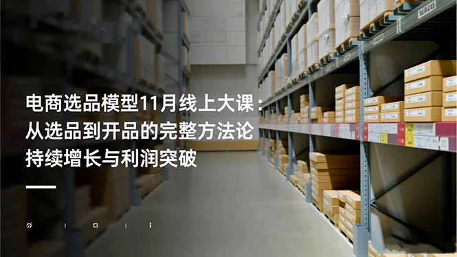 电商选品模型11月线上大课：从选品到开品的完整方法论 持续增长与利润突破-鸿雁学习网