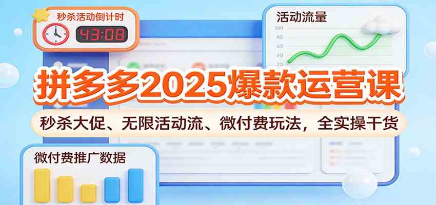 拼多多2025爆款运营课：秒杀大促、无限活动流、微付费玩法，全实操干货-鸿雁学习网