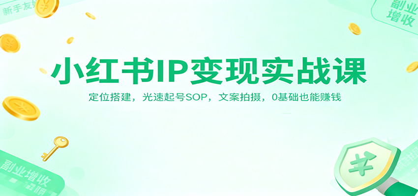 小红书IP变现实战课：定位搭建，光速起号SOP，文案拍摄，0基础也能赚钱-鸿雁学习网
