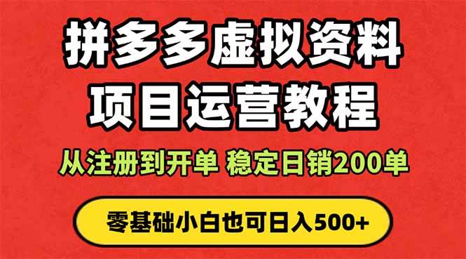 （16220期）拼多多开店运营课程： 蓝海变现玩法，轻松实现睡后收入 零基础小白也可…-鸿雁学习网