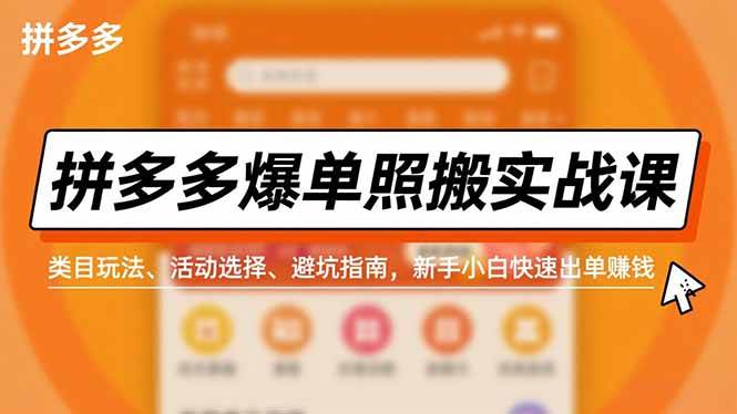 （16838期）拼多多爆单照搬实战课，类目玩法、活动选择、避坑指南，新手小白快速出单赚钱-鸿雁学习网