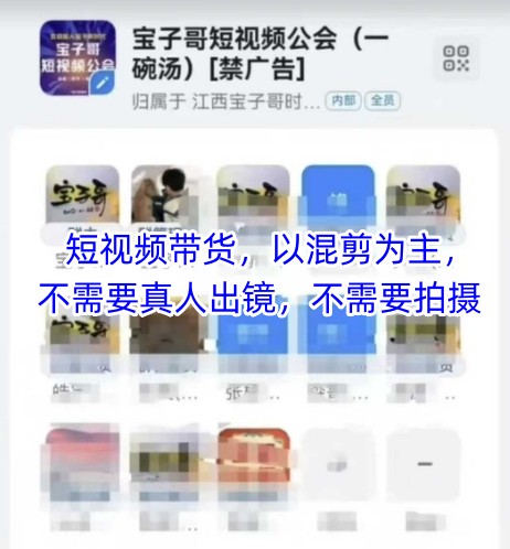 宝子哥头部团队短视频带货，以混剪为主，不需要真人出镜，不需要拍摄【更新26年3月】-鸿雁学习网