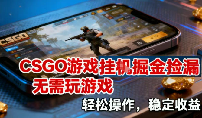 CSGO游戏挂G掘金捡漏，不需要玩游戏，操作简单，收益稳定【揭秘】-鸿雁学习网