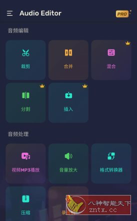 Audio Editor Pro Pro音频编辑器v2.01.20.1024专业版-鸿雁学习网